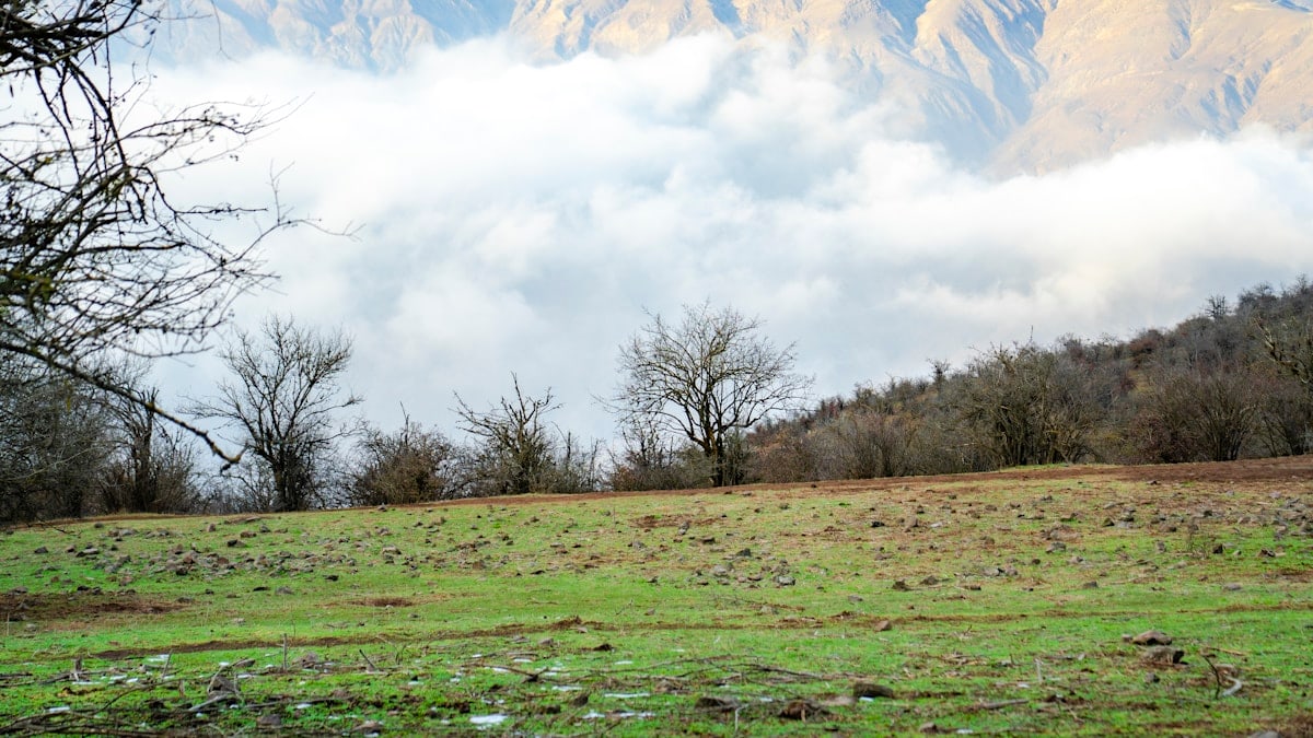 a field with a mountain in the background